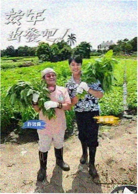声浪现场综艺海报 白羊影院音乐综艺